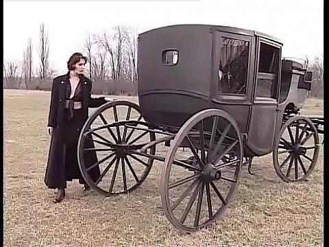 Hot and sexy brunette wants sex in a buggy!