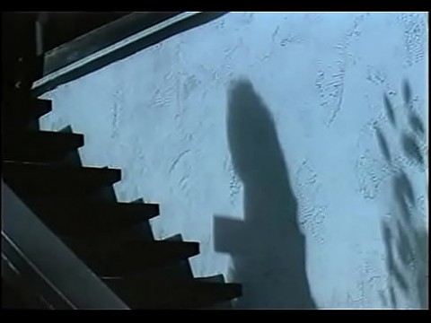 Видения Джинни (1986) 78 min